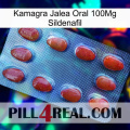 Kamagra Oral Jelly 100Mg Sildenafil 06